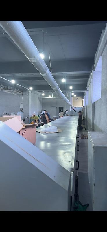 Производство кондитерских изделий: Туннельная печь для выпечки печенья/кондитерских изделий Описание: - — 2