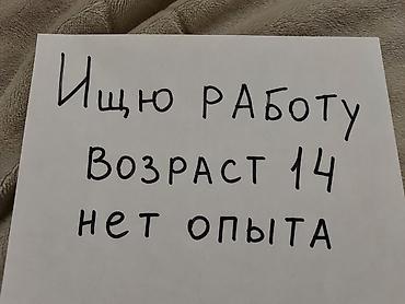 it hub: Грузчик. Без опыта — 1