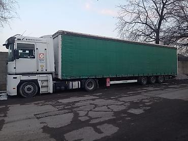 магнум: Тягач, Renault, 2008 г., Тентованный — 5