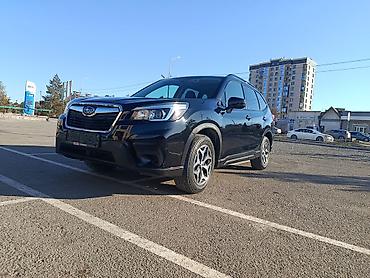 Subaru: Subaru Forester: 2019 г., 2.5 л, Вариатор, Бензин, Кроссовер — 6