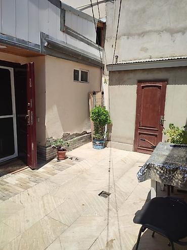 bine sovxoz evler: 2 otaqlı, 60 kv. m, Yeni təmirli — 5