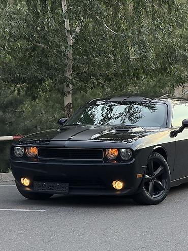 dodge challanger: Dodge Challenger: 2013 г., 3.6 л, Автомат, Бензин — 1