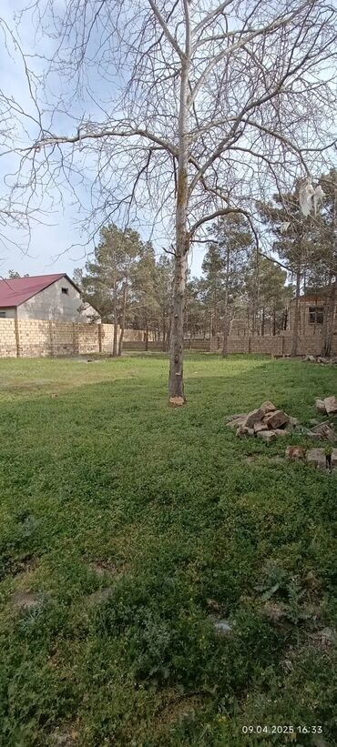 Torpaq sahələrinin satışı: 6 sot, Tikinti, Mülkiyyətçi, Kupça (Çıxarış) — 3