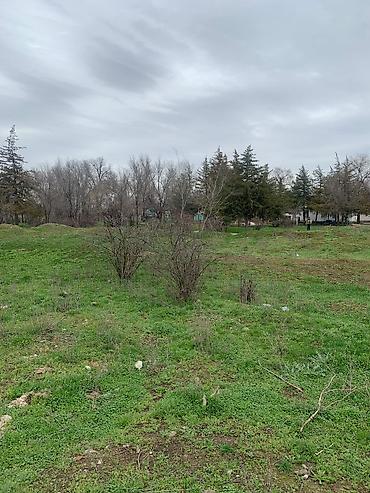 Продажа участков: 90 соток, Для бизнеса, Красная книга — 14