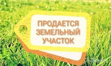земельный участок в караколе: 90 соток, Для сельского хозяйства