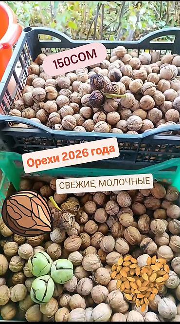 Жаңгак: Жаңгак, Кабыкчасы менен, Чекене — 1