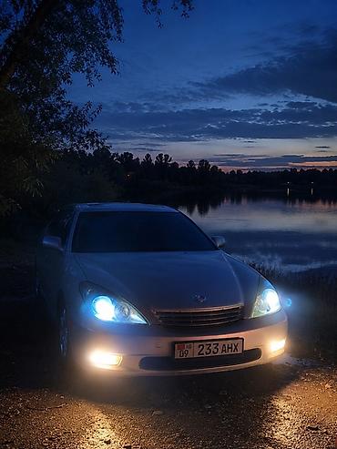 масл кар: Lexus ES: 2002 г., 3 л, Автомат, Бензин, Седан — 9