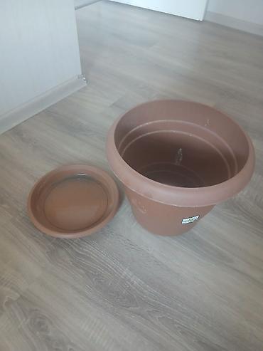 güldəfnə bitkisi: Plastik gül qabı – altlığı ilə birlikdə 13l tutumlu cemi 73 denedi 73 — 5