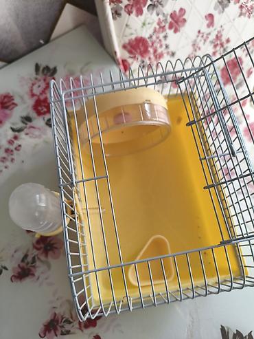 Xırda gəmiricilər üçün qəfəs – hamsters/siçovullar üçün - Kompakt lalafo.az -da Xırda gəmiricilər üçün qəfəs – hamsters/siçovullar üçün - Kompakt