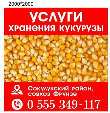 купить айфон х бу in Кыргызстан | APPLE IPHONE: Хранение кукурузы
