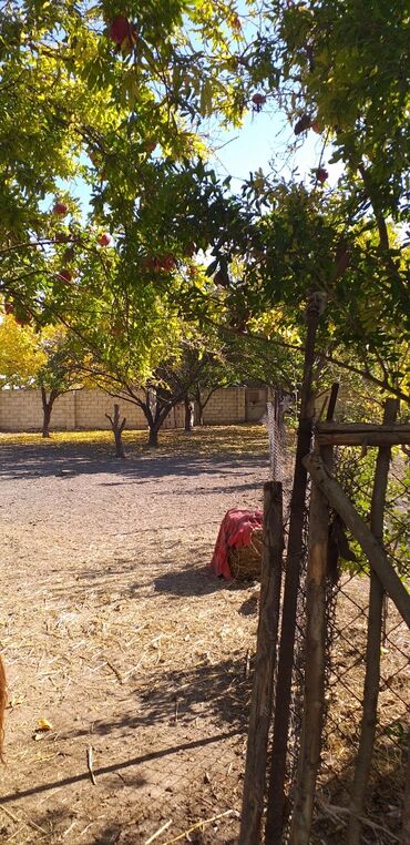 Həyət evləri və villaların satışı: 5 otaqlı, 150 kv. m, Yeni təmirli — 6