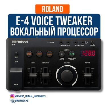 процессор вокальный: Roland E-4 Voice Tweaker Roland E-4 Voice Tweaker — это компактный и