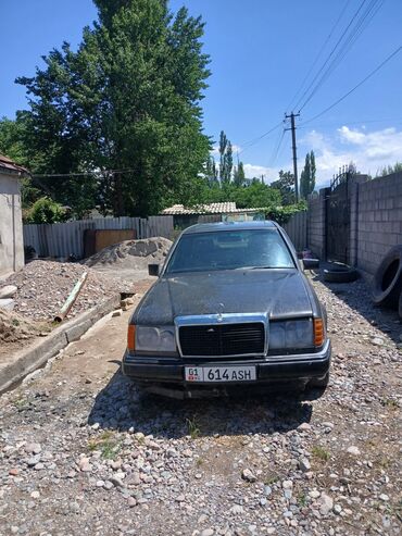 Mercedes-Benz: Mercedes-Benz W124: 1989 г., 2 л, Механика, Бензин, Седан