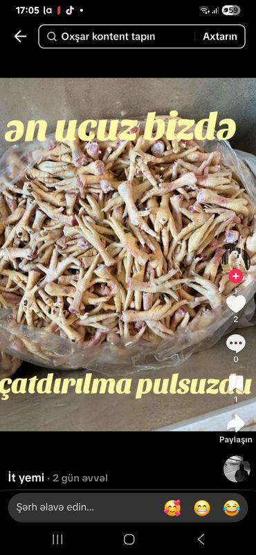 Yemlər: Böyük miqdarda təzə toyuq pəncələri. Bu pəncələr itlər üçün yem kimi