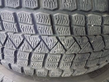 зимний шины резины: Шины 255 / 50 / R 19, Зима, Maxxis