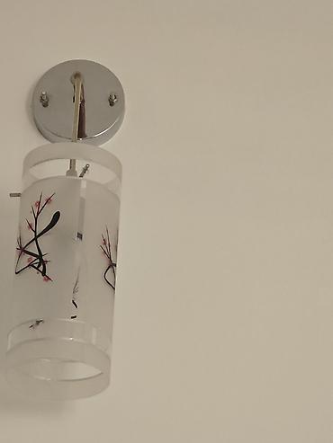 Накопительные водонагреватели: Переноска для животных + электрический водонагреватель (бойлер) 1) — 11