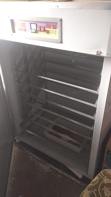 İnkubatorlar: Tam avtomat — 4