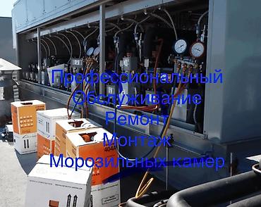 Профессиональные услуги для морозильных камер - Диагностика