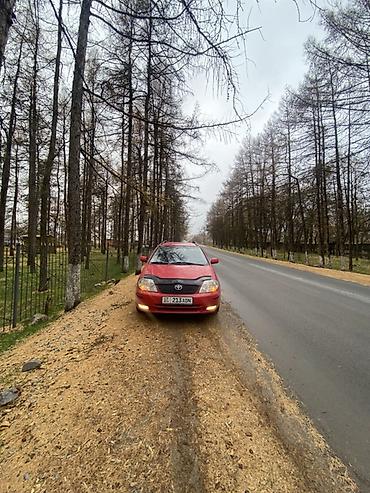 Toyota: Toyota Corolla: 2003 г., 2 л, Механика, Дизель, Универсал — 13