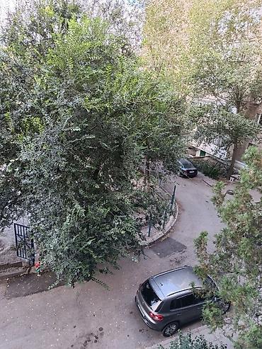 ипотека кв: 1 комната, 38 м², Юнусалиева/Суванбердиева 105 серия, 3 этаж, Свежий ремонт — 4