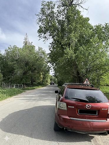 Mazda: Mazda CX-7: 2007 г., 2.3 л, Автомат, Бензин, Кроссовер — 5