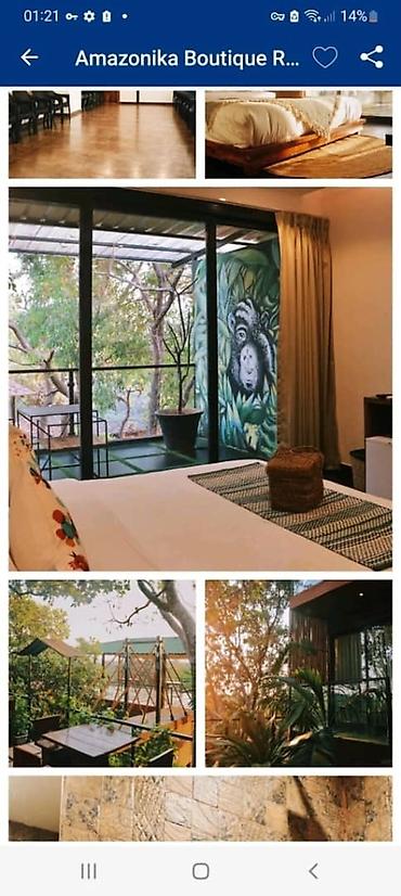 Другие услуги: Предоставляю услуги росписи стен и декора. Пишите в личные сообщения — 27