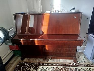 семейные одежды: Пианино акустическое, вертикальное (upright). Корпус – полированный — 1