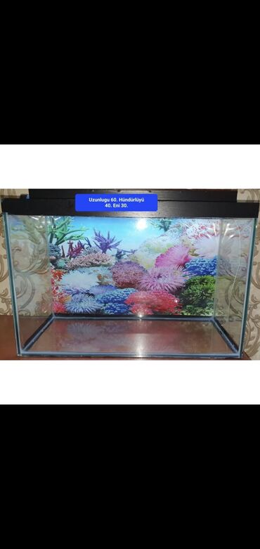 Akvariumlar: Dördbucaq akvarium, Boş, 70 l, Ödənişli çatdırılma — 7