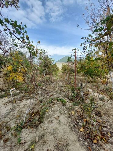 Həyət evləri və villaların satışı: Saray 5 otaqlı, 240 kv. m, Kredit yoxdur, Yeni təmirli — 24