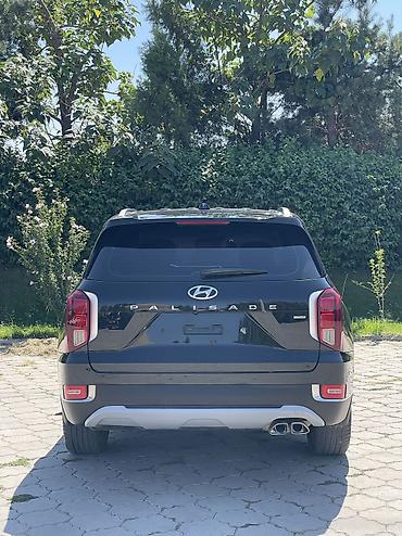 palisade: Hyundai Palisade: 2020 г., 2.2 л, Автомат, Дизель, Кроссовер — 7