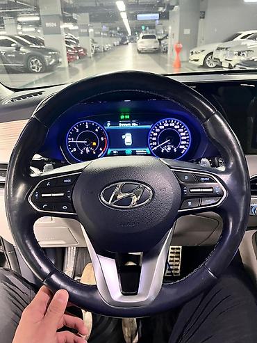 Hyundai: Hyundai Palisade: 2020 г., 2.2 л, Дизель, Кроссовер — 22