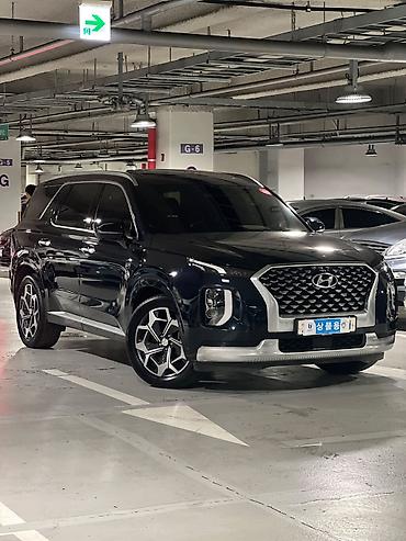 palisade: Hyundai Palisade: 2020 г., Кроссовер — 1