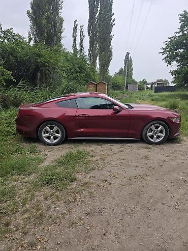 mustang: Ford Mustang: 2017 г., 3.7 л, Автомат, Бензин, Купе — 1