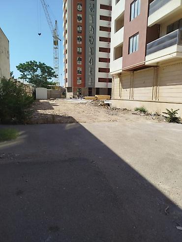 mkr: 6 sot, Tikinti, Makler, Kupça (Çıxarış) — 7