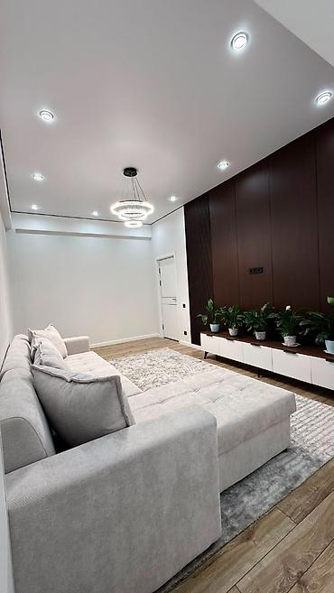 11: 1 комната, 44 м², Элитка, 11 этаж, Евроремонт — 5
