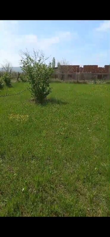 Torpaq sahələrinin satışı: 8 sot, Kənd təsərrüfatı, Mülkiyyətçi, Bələdiyyə -da lalafo.az — 7 Torpaq sahələrinin satışı: 8 sot, Kənd təsərrüfatı, Mülkiyyətçi, Bələdiyyə — 7