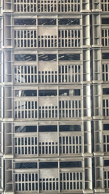 Ящики: Пластиковый Ящик — 21