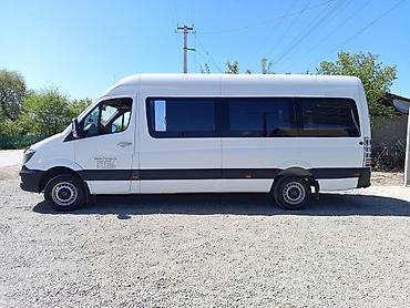 Mercedes-Benz: Mercedes-Benz Спринтер: 2008 г., 2.7 л, Механика, Дизель, Бус — 4