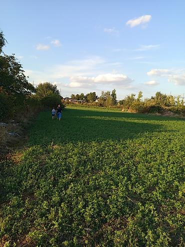 Plac u Pancevu.Građevinsko zemljište – urbanistički plan, Pančevo (KO