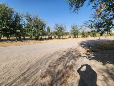 Продажа участков: 60 соток, Для строительства, Договор купли-продажи, Красная книга at lalafo.kg — 6 Продажа участков: 60 соток, Для строительства, Договор купли-продажи, Красная книга — 6