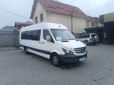 низкий короткий спринтер: Автобус, Mercedes-Benz, 16-21 мест
