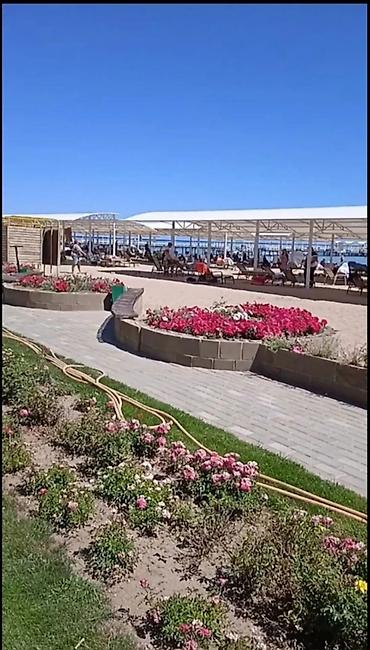 Аренда квартир на Иссык-Куле: Аренда квартиры на Иссык-Куле, Радуга, Сары-Ой, 4 места — 14