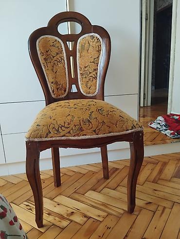 debli kurtkalar: Stul 1 ədətdir — 4