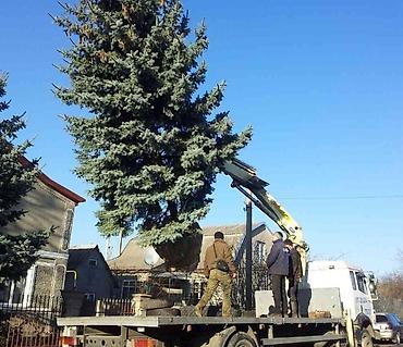 Уборка территории: Уборка территории — 5