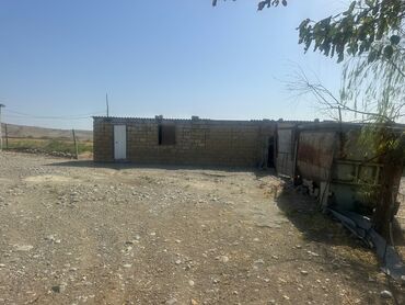 Torpaq sahələrinin satışı: 100 sot, Kənd təsərrüfatı, Makler, Kupça (Çıxarış) — 2