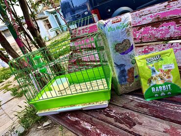 Qəfəslər: Etrafli vp 051 494 09 86 Qefeslerin her biri satişda var qefes bitende — 3