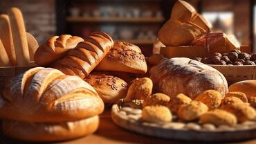 учитель начальных классов без опыта работы: Кампа башчысы