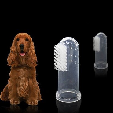 аксессуары для животных: Силиконовые напальчники для домашних животных, зубная щетка для кошек