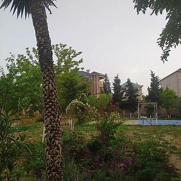 Bağ evlərinin kirayəsi: Mərdəkan, 150 kv. m, 3 otaqlı, Hovuzlu, Kombi, Qaz, İşıq — 5