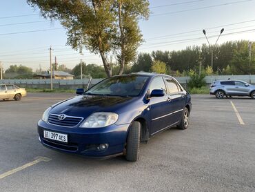 тойота аволон: Toyota Corolla: 2006 г., 1.6 л, Механика, Бензин, Седан
